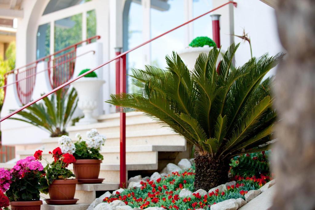 Hotel Ambassador Гроттамаре Экстерьер фото